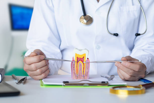 Best Emergency Root Canal Treatment in Boonville, CA